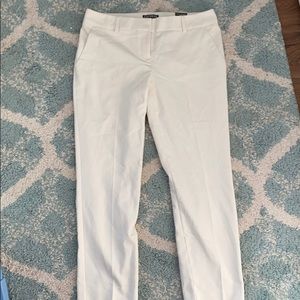 NWT Express Women’s Dress Pant